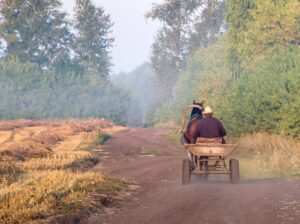 A man is riding a cart near the field